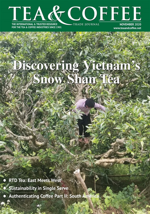 Discovering Vietnam's Snow Shan Tea