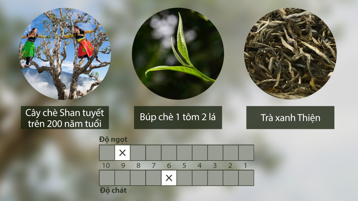 Trà xanh Thiện – Thiện green tea (Túi 80gr)